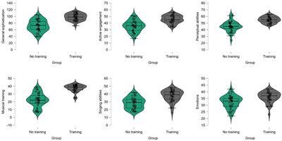 Resting-state brain connectivity correlates of musical sophistication